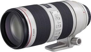 Canon EF 70-200mm f/2.8L IS II USM